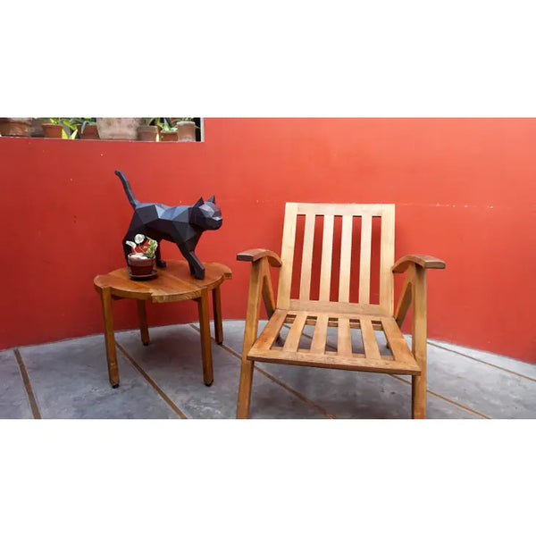 Black Cat Model