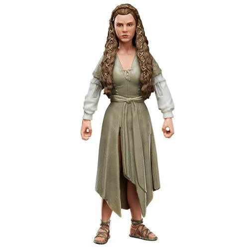 Star Wars The Black Series Princess Leia (Ewok Dress) 6-Inch Action Figure